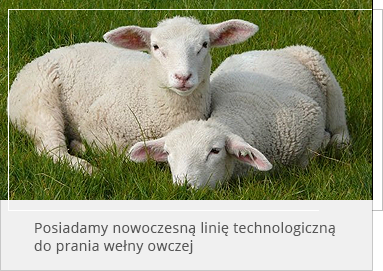 Posiadamy nowoczesn lini technologiczn do prania weny woczej